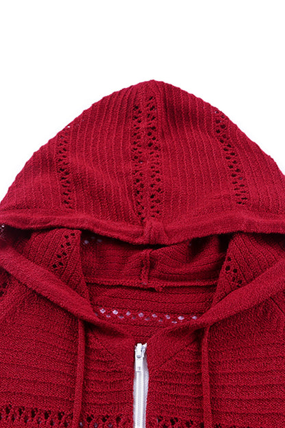 Casual Color Block Zip-Up Raglan Sleeve Openwork Hooded Cardigan OniTakai