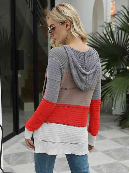 Color Block Hooded Sweater OniTakai
