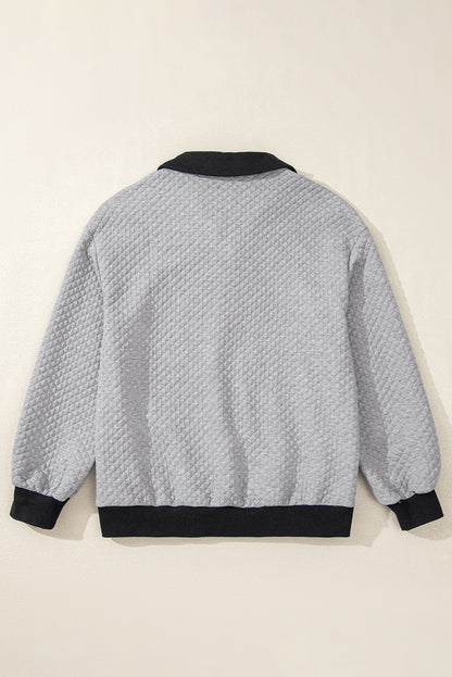 Light Grey Textured Colorblock Edge Buttoned Collar Sweatshirt